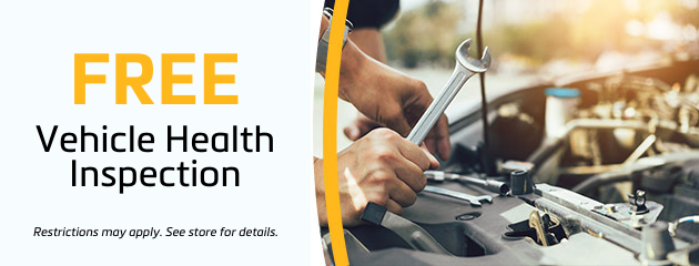 Free Vehicle Health Inspection